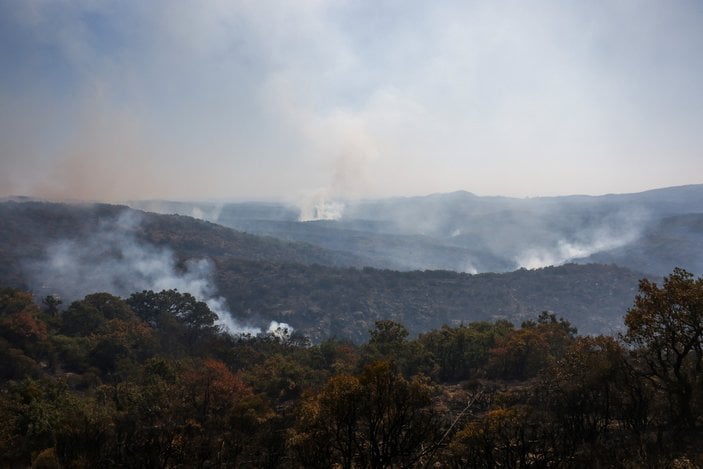 Yunanistan'daki orman yangınında 14. gün: Havadan müdahalede zorlanılıyor