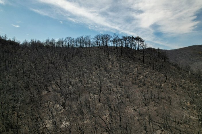 Yunanistan'daki orman yangınında 14. gün: Havadan müdahalede zorlanılıyor