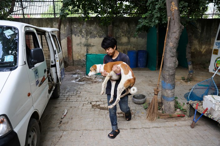 Hindistan'da G20 Liderler Zirvesi öncesi önlemler: Sokak köpekleri toplandı