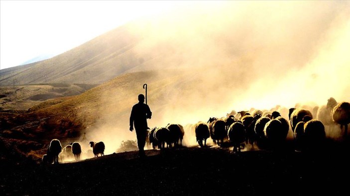 Tarımsal destekler içerisinde çoban istihdamına destek artırıldı