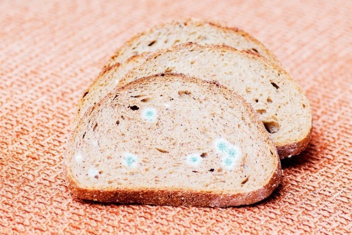 Meğer çözümü çok kolaymış: Ekmeğin küflenmesini jet hızıyla önleyen tüyo belli oldu